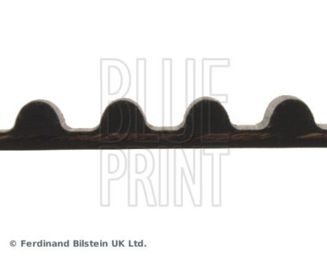 Timing Belt ADK87507 Blue Print, Image 4