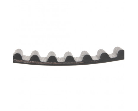 Timing Belt ADK87508 Blue Print, Image 2