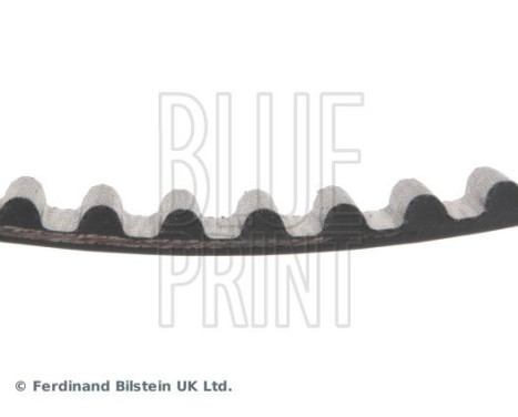 Timing Belt ADK87508 Blue Print, Image 4
