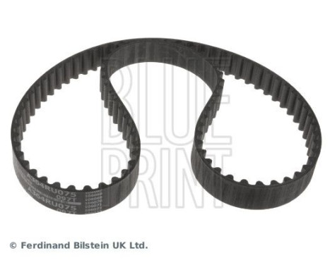 Timing Belt ADK87509 Blue Print, Image 3