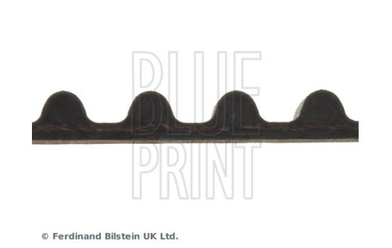 Timing Belt ADK87509 Blue Print, Image 4