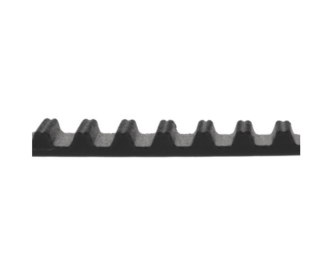 Timing Belt ADK87520 Blue Print, Image 2