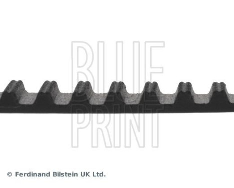 Timing Belt ADK87520 Blue Print, Image 4