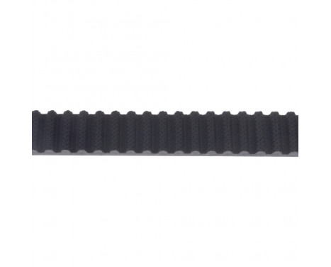 Timing Belt ADL147503 Blue Print, Image 2