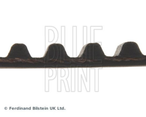 Timing Belt ADM57507 Blue Print, Image 4