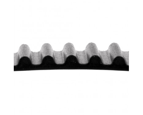 Timing Belt ADM57513 Blue Print, Image 2