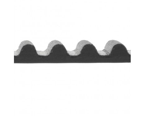 Timing Belt ADM57516 Blue Print, Image 2