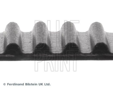 Timing Belt ADM57517 Blue Print, Image 4