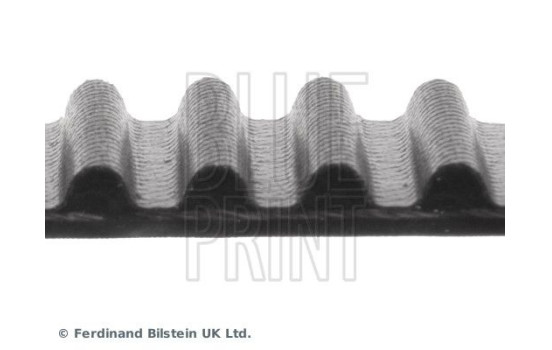 Timing Belt ADM57517 Blue Print, Image 4