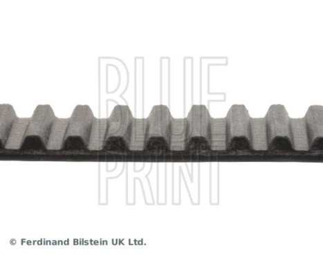 Timing Belt ADM57518 Blue Print, Image 4