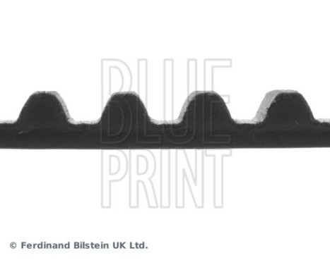 Timing Belt ADM57521 Blue Print, Image 4
