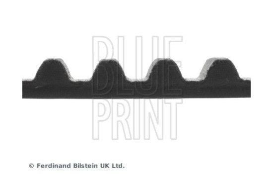 Timing Belt ADM57521 Blue Print, Image 4