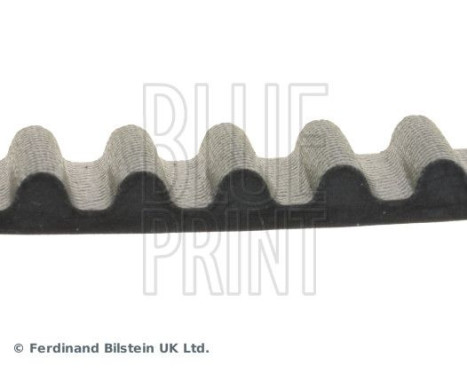 Timing Belt ADM57522 Blue Print, Image 4