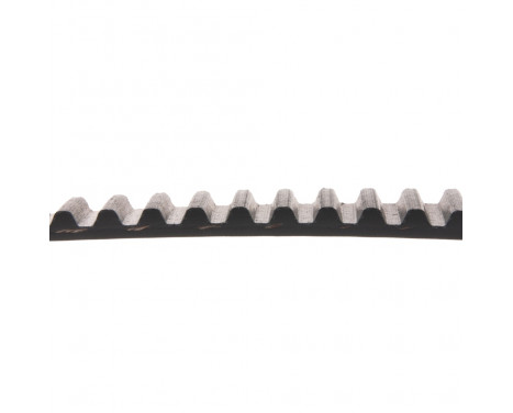 Timing Belt ADM57525 Blue Print, Image 2