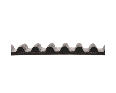 Timing Belt ADM57526 Blue Print, Image 2