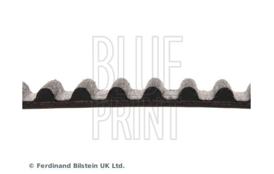 Timing Belt ADM57526 Blue Print, Image 4