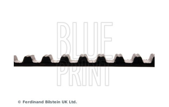 Timing Belt ADM57529 Blue Print, Image 4