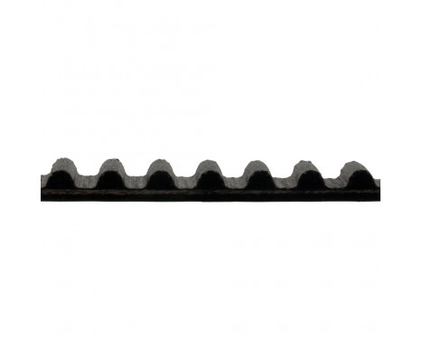Timing Belt ADM57536 Blue Print, Image 2