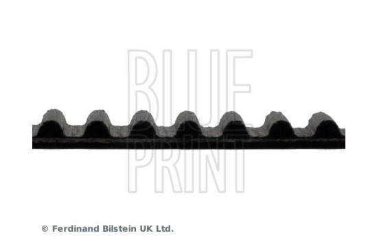 Timing Belt ADM57536 Blue Print, Image 4