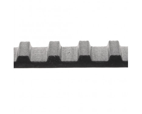 Timing Belt ADN17504 Blue Print, Image 2