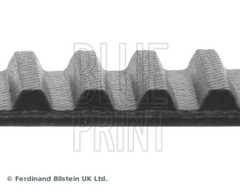 Timing Belt ADN17508 Blue Print, Image 4