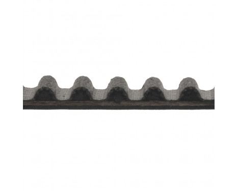 Timing Belt ADN17514 Blue Print, Image 2