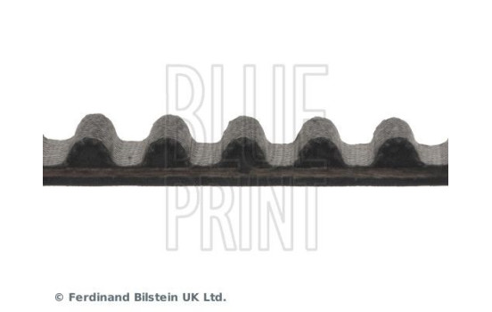 Timing Belt ADN17514 Blue Print, Image 4
