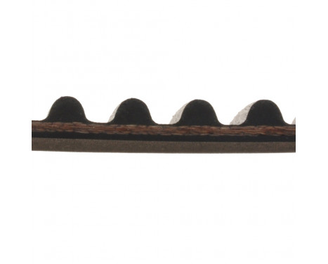 Timing Belt ADN17515 Blue Print, Image 2