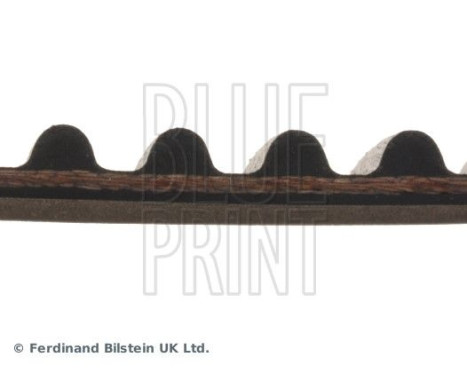 Timing Belt ADN17515 Blue Print, Image 4