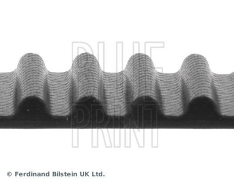 Timing Belt ADN17516 Blue Print, Image 4