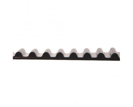 Timing Belt ADN17519 Blue Print, Image 2