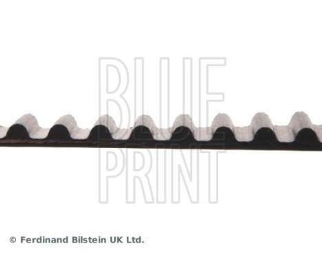 Timing Belt ADN17519 Blue Print, Image 4