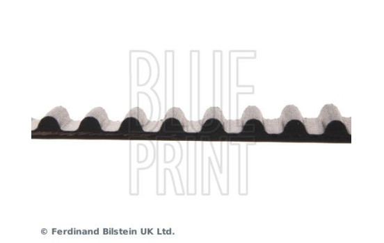 Timing Belt ADN17519 Blue Print, Image 4