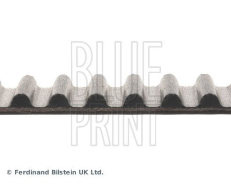 Timing Belt ADN17520 Blue Print, Image 4