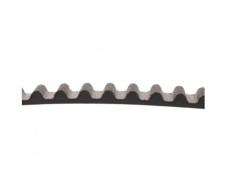 Timing Belt ADN17527 Blue Print, Image 2