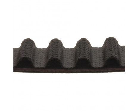 Timing Belt ADN17534 Blue Print, Image 2