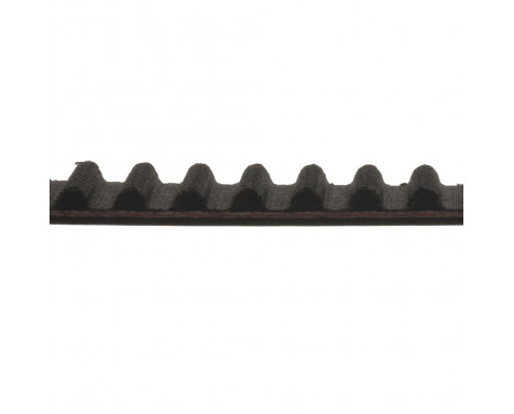 Timing Belt ADN17536 Blue Print, Image 2
