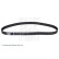 Timing Belt ADN17536 Blue Print, Thumbnail 3