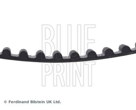 Timing Belt ADN17540 Blue Print, Image 4