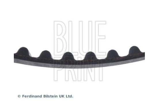 Timing Belt ADS77503 Blue Print, Image 4