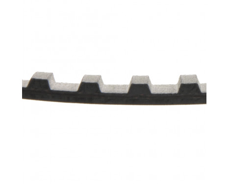 Timing Belt ADT37501 Blue Print, Image 2