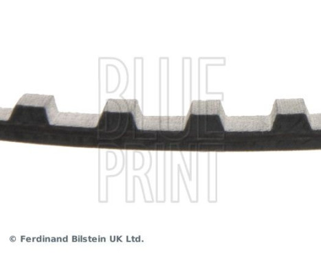 Timing Belt ADT37501 Blue Print, Image 4