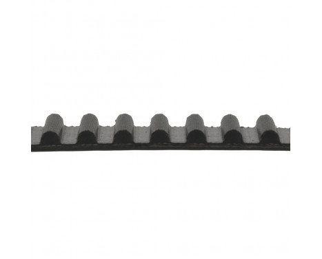 Timing Belt ADT37506 Blue Print, Image 2