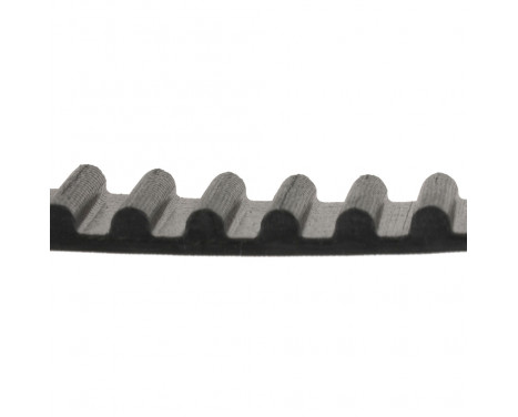 Timing Belt ADT37509 Blue Print, Image 2