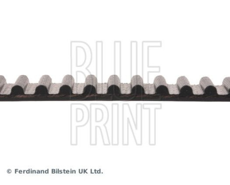Timing Belt ADT37512 Blue Print, Image 4