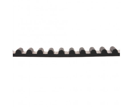 Timing Belt ADT37518 Blue Print, Image 2