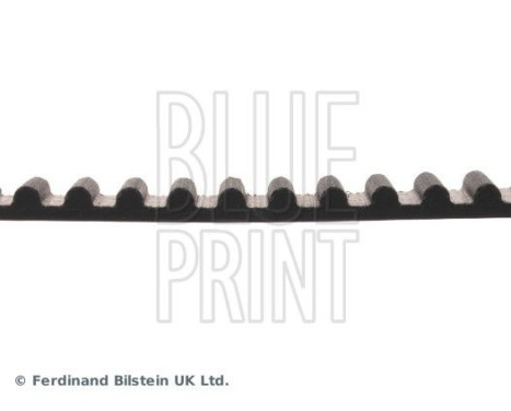 Timing Belt ADT37518 Blue Print, Image 4