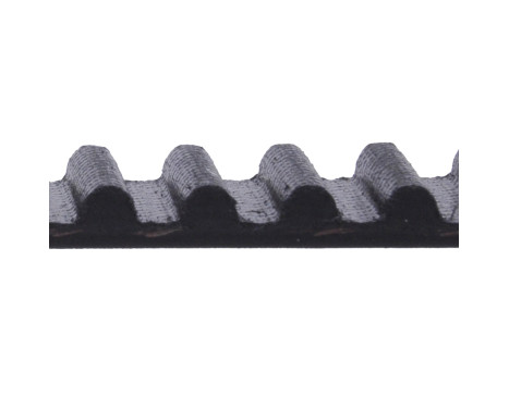 Timing Belt ADT37521 Blue Print, Image 2
