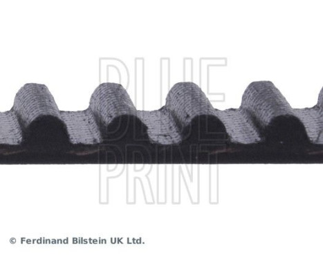 Timing Belt ADT37521 Blue Print, Image 4