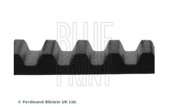 Timing Belt ADT37522 Blue Print, Image 4
